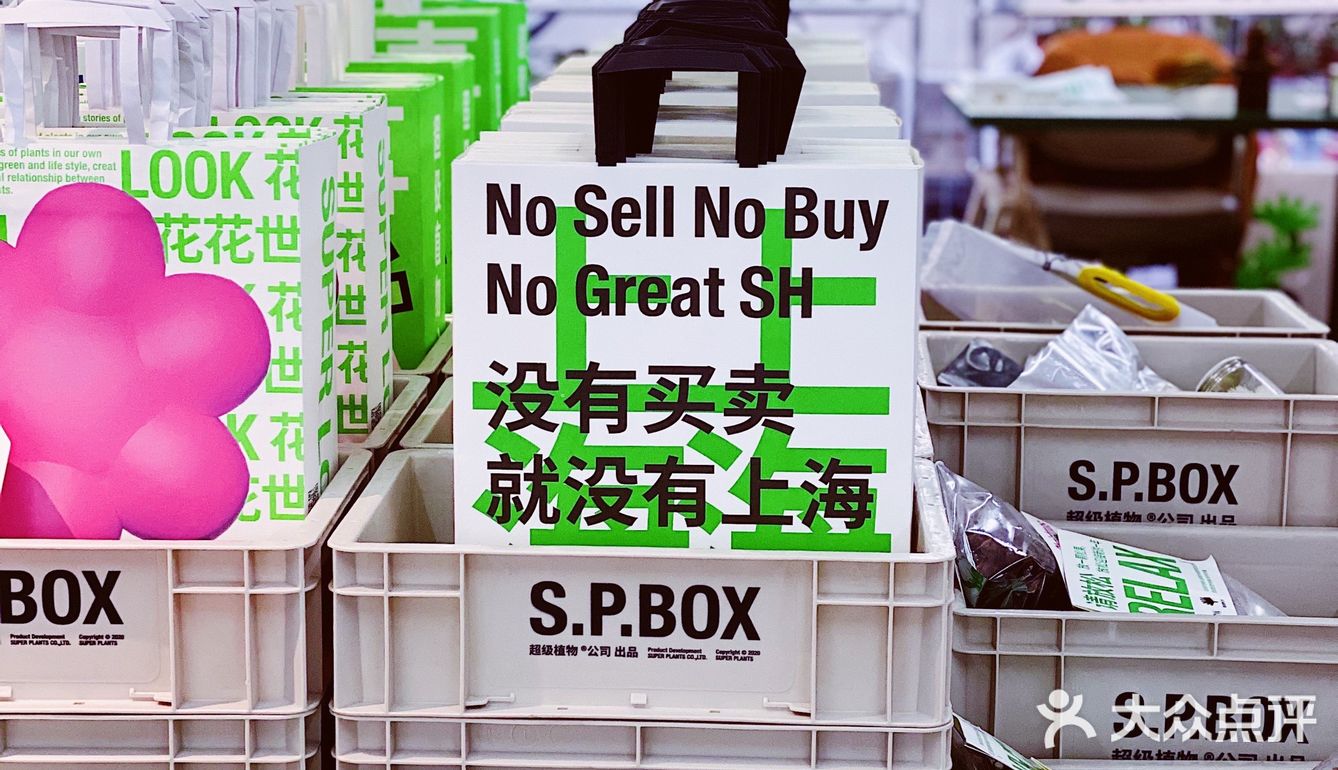 万事青松 好事花生 愉快玩耍的周末日常