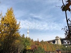 -龟山风景区-龟山电视塔