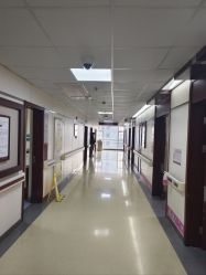 -复旦大学附属妇产科医院(杨浦院区)