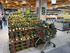 -7fresh七鲜(大族广场店)