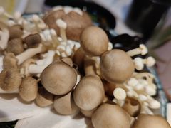 -豆捞坊(金桥店)