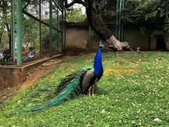 -昆明动物园