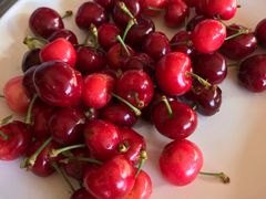 -四姑娘山阿巴郎·藏式花园餐厅