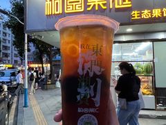 -桐园果汇(湖贝店)