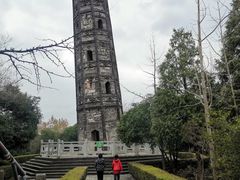 -上海佘山国家森林公园天马山园