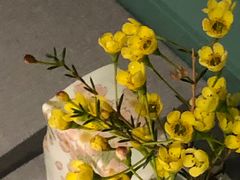 -南堂馆·新川菜(春熙路店)