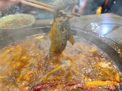 三角峰-老船夫石锅苗苗鱼·老字号(三道堰总店)