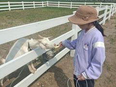-杭州湾海上花田景区