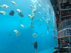 -瑞德姆美人鱼海底演艺主题餐厅(亚龙湾店)