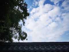 -郑家包子牛肉拉面(尚勤路店)