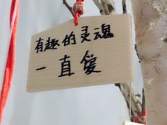 -成都失恋馆