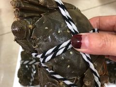 -七的湖·晚芳亭·阳澄湖农家菜·大闸蟹(莲花岛店)
