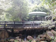 -天门沟九州驿站树上汤泉
