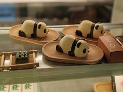 -轩客会(熊猫书店)