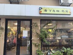 -吉丁鸟咖·异宠·寄养