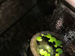 -31号公馆(黄兴广场白果园店)