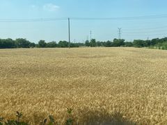 -梁鸿国家湿地公园