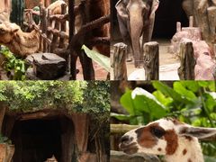 -长鹿旅游休博园