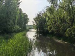 -昆山城市生态森林公园