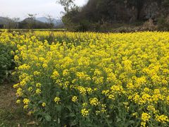 -夏霖九天银瀑风景区