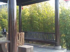 -崇阳三特浪口温泉