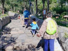 -阳台山自然风景区