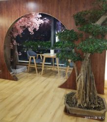 -涂tu指甲日式美甲美睫店