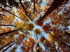 -上海海湾国家森林公园