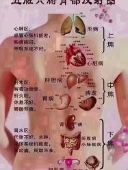 -MIDA蜜哒•科技逆龄美肤连锁