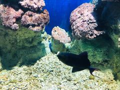 -福州罗源湾海洋世界旅游区