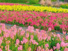 -文华公园(禅城区)