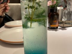 凤梨莫吉托-阿妮叶李(光谷世界城店)