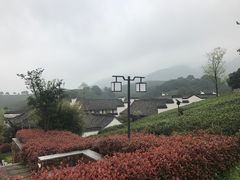 -帐篷客·溪龙茶谷度假酒店