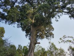 -金堂县云顶石城风景区