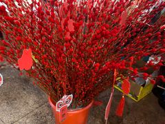 -双季花艺园艺市场(浦东店)