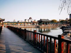 -莲花池公园