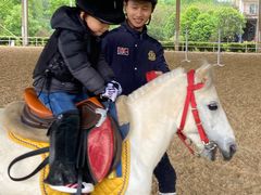 -重庆和泰马术俱乐部