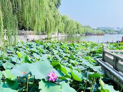-济南大明湖景区