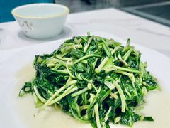 -丁老爷子苏香圆