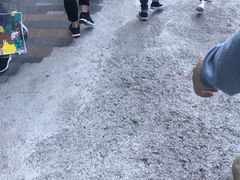 -宜必思北角餐厅(宜必思世紀軒2樓)