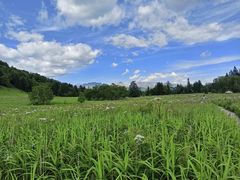 -北山公园