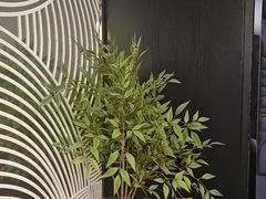 -华夏良子·足道SPA艾灸(金皇大厦店)