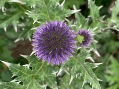 -白草畔自然风景区