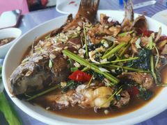 -庆岭迎宾园正宗活鱼馆