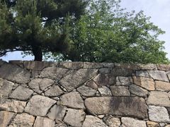 -名古屋城