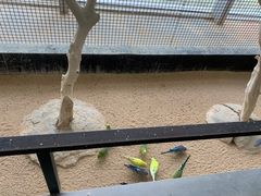 -昆明大悦城未来动物城(螺蛳湾中心店)