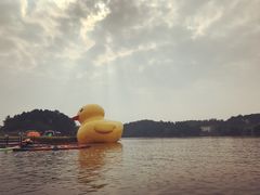 -吴记迎风楼北渡鱼
