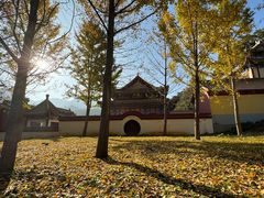 -千年银杏谷文化旅游区