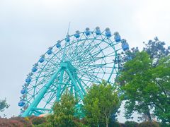 -南京银杏湖乐园