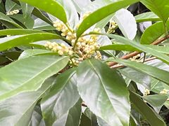 -雁荡山灵峰景区